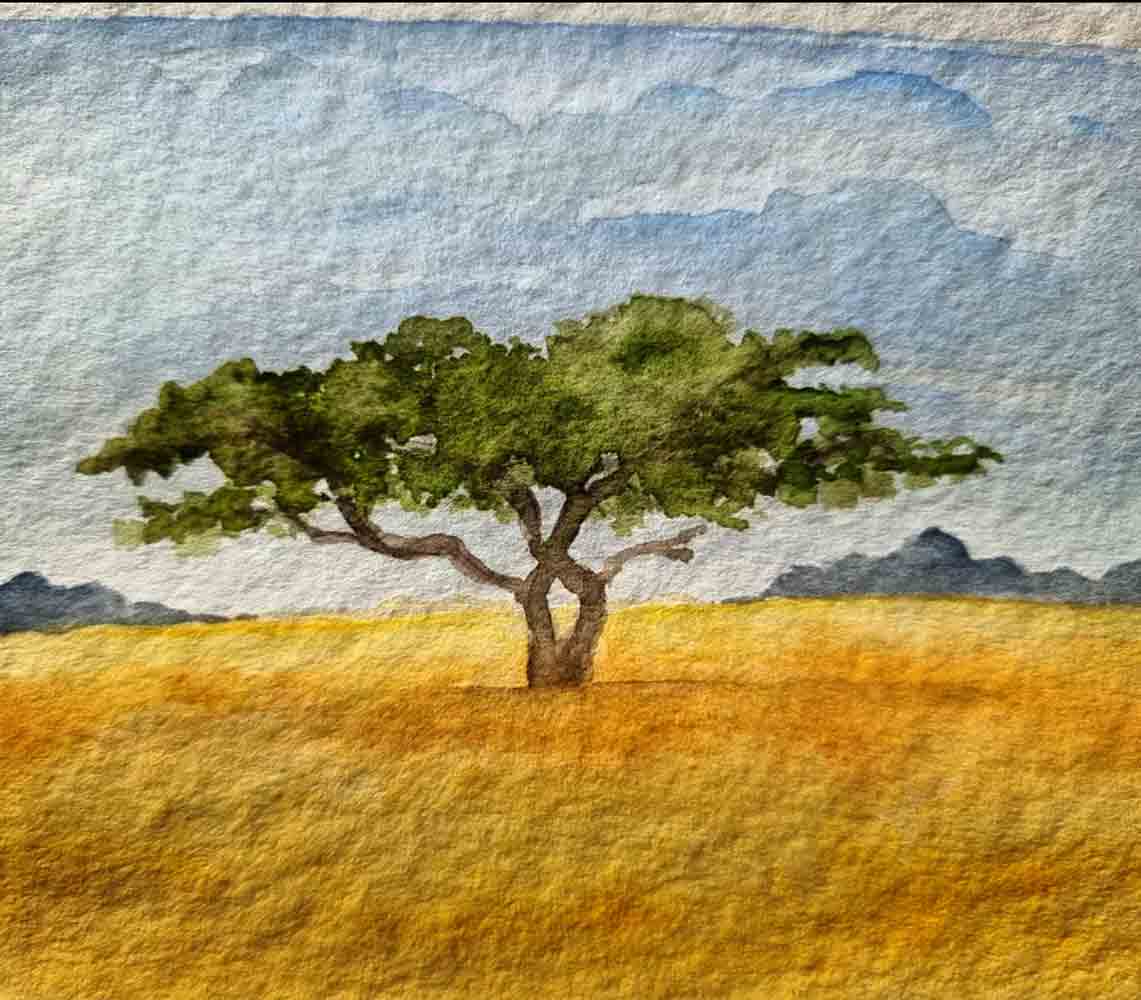 Weite Aquarellbild eines einzelnen, breit gewachsenen Baumes in einer goldgelben Landschaft unter hellem Himmel mit sanften Wolken.