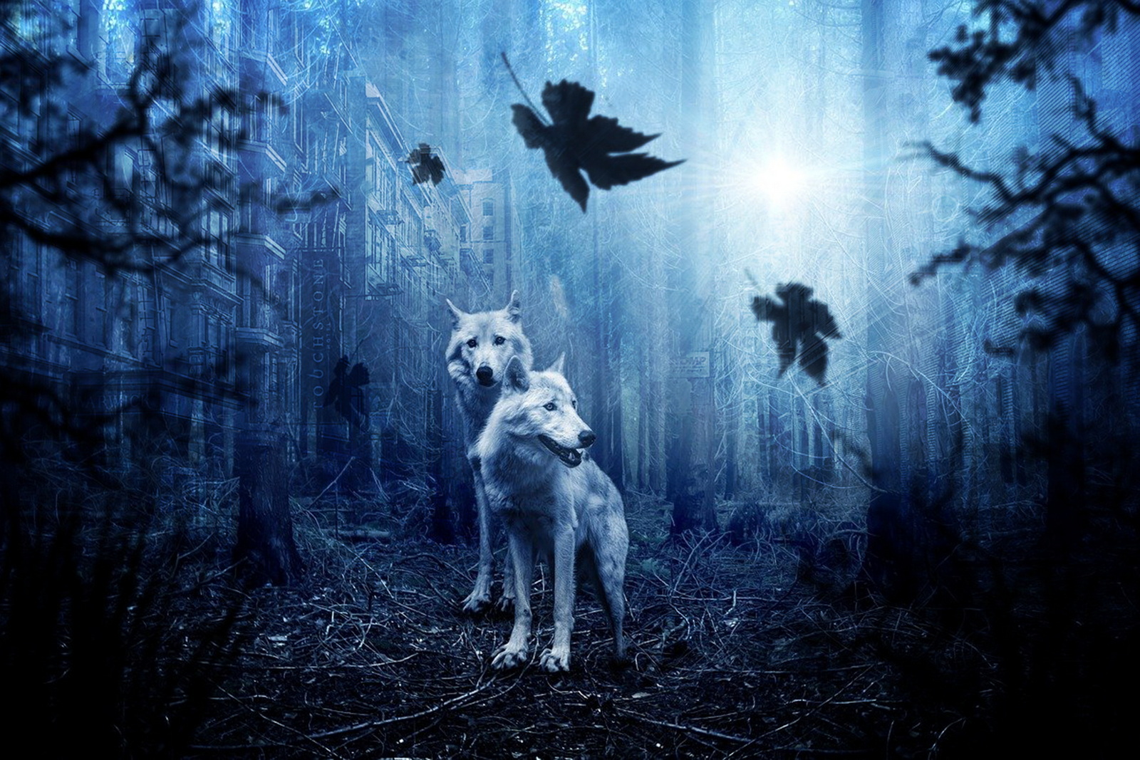 Wolfsland