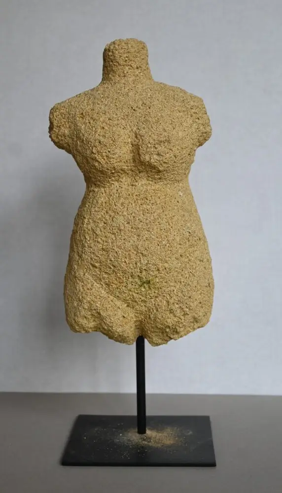 Torso – Helmut Schauer Torso – Helmut Schauer